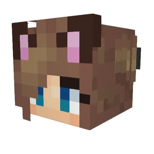 FloofyZagg Minecraft avatar head, 3D render