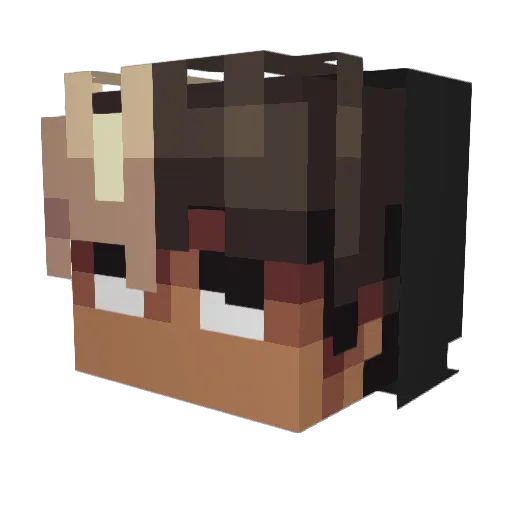 Flooock_ Minecraft avatar head, 3D render
