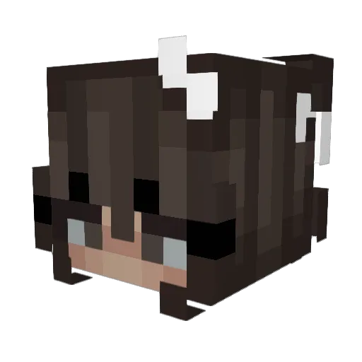 Floopssss Minecraft avatar head, 3D render