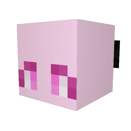 FloorGang91 Minecraft avatar head, 3D render