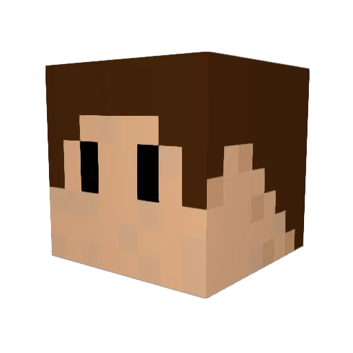 FloorMatt51 Minecraft avatar head, 3D render