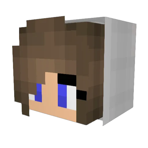 FloorOvermars Minecraft avatar head, 3D render