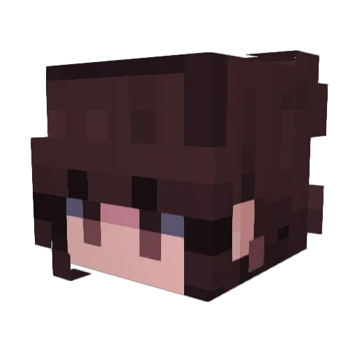 Floora06 Minecraft avatar head, 3D render
