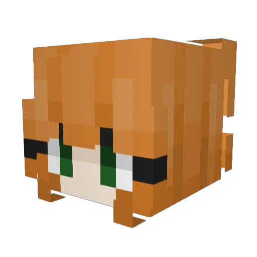 Floorenz Minecraft avatar head, 3D render