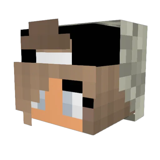 Floortje1000 Minecraft avatar head, 3D render