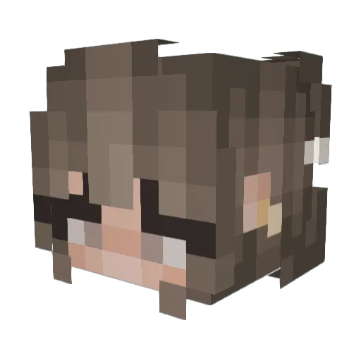 Floortjebl Minecraft avatar head, 3D render
