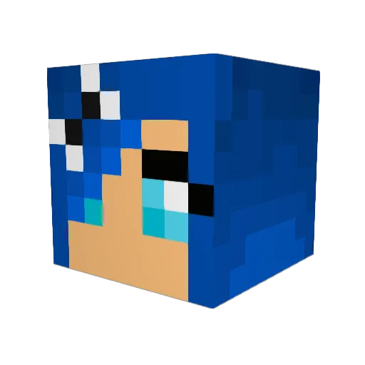 FloortjexPlukk Minecraft avatar head, 3D render