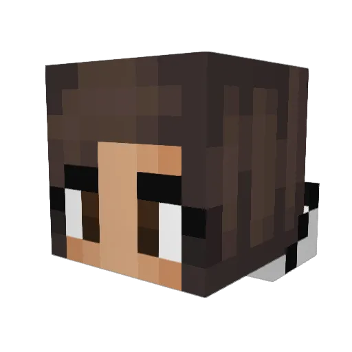 Floorvs Minecraft avatar head, 3D render