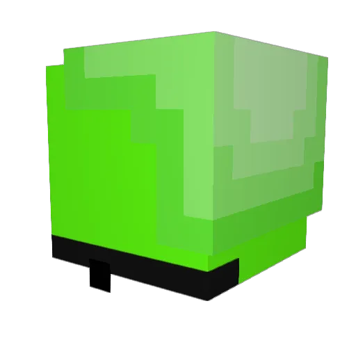 FlooseN Minecraft avatar head, 3D render