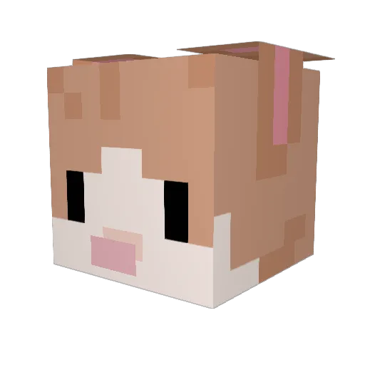 Floots Minecraft avatar head, 3D render