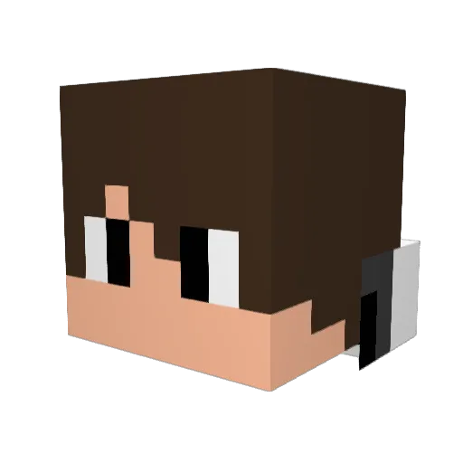 FloowsZ Minecraft avatar head, 3D render
