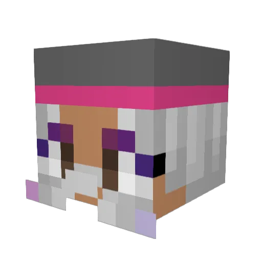 Flop0l0 Minecraft avatar head, 3D render