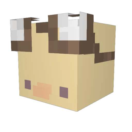 FlopFlup Minecraft avatar head, 3D render