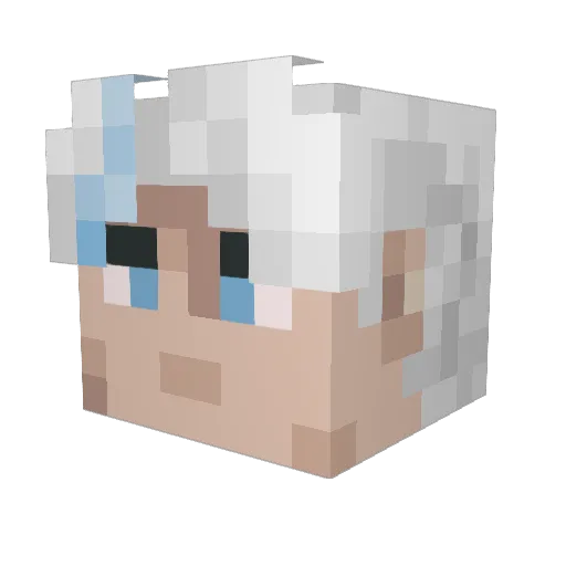 FlopSi_po Minecraft avatar head, 3D render