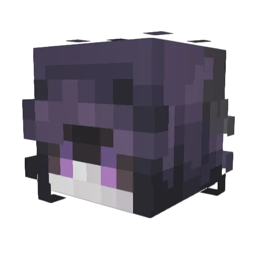 FlopTurtle Minecraft avatar head, 3D render