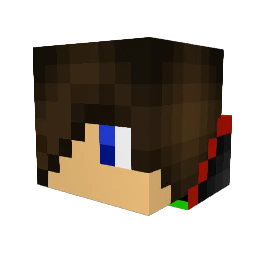 Flopi0412 Minecraft avatar head, 3D render