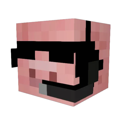 FlopigYoutube Minecraft avatar head, 3D render
