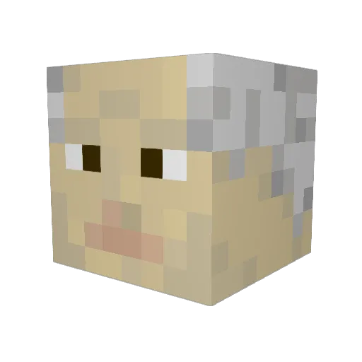 Flople Minecraft avatar head, 3D render