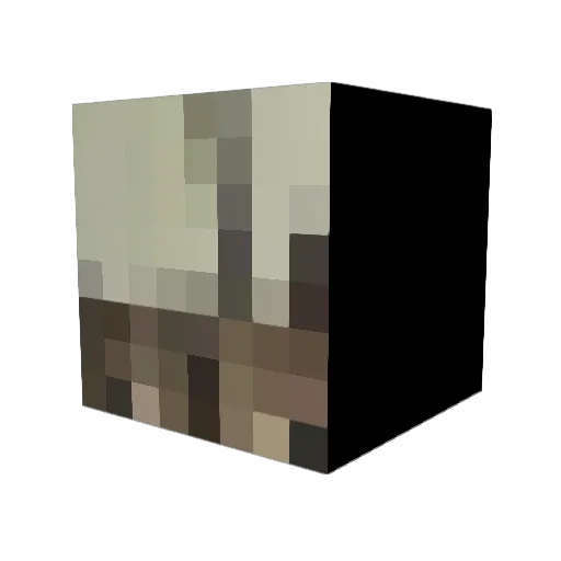 Floppafan12 Minecraft avatar head, 3D render