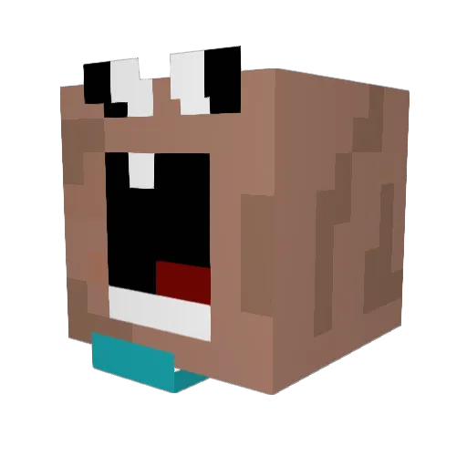 Flopper2722 Minecraft avatar head, 3D render