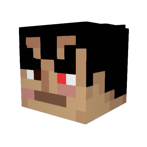 Flopper8292 Minecraft avatar head, 3D render