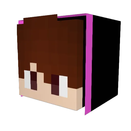 Floppi0403 Minecraft avatar head, 3D render
