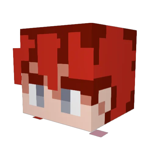Floppi5 Minecraft avatar head, 3D render