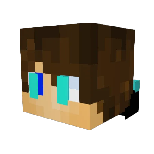 FloppiiMc Minecraft avatar head, 3D render