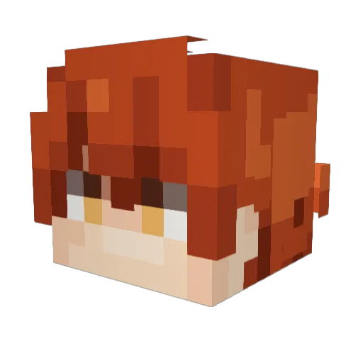 Floppo_EX Minecraft avatar head, 3D render
