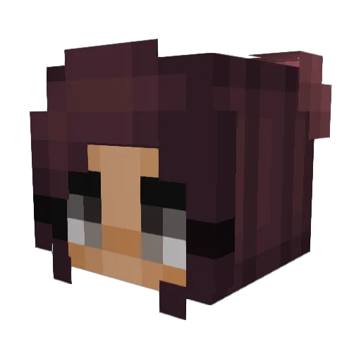 Floppola Minecraft avatar head, 3D render