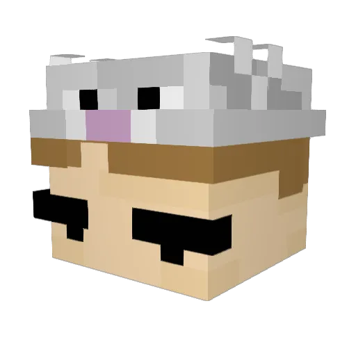 Floppt Minecraft avatar head, 3D render