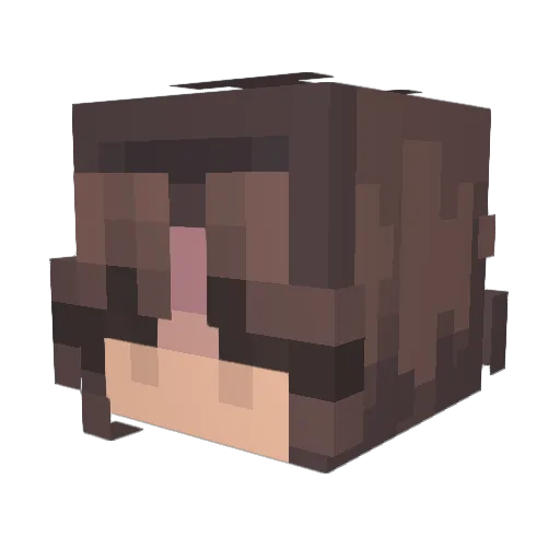 Floppy337890 Minecraft avatar head, 3D render