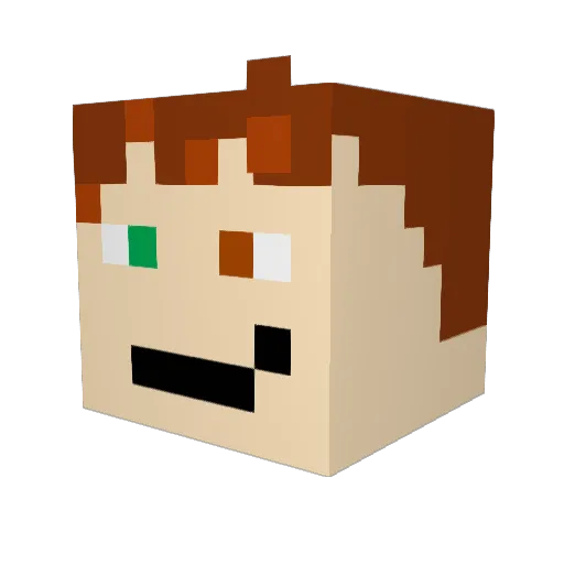 Floppy902 Minecraft avatar head, 3D render