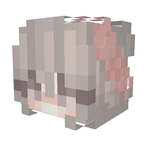 FloppyAm Minecraft avatar head, 3D render