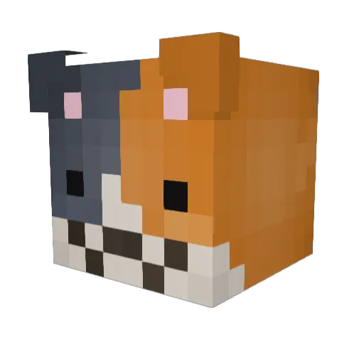 FloppyOcto Minecraft avatar head, 3D render