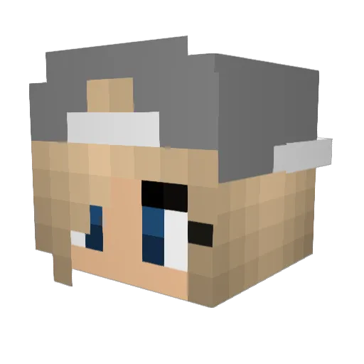 FloppyPop10 Minecraft avatar head, 3D render