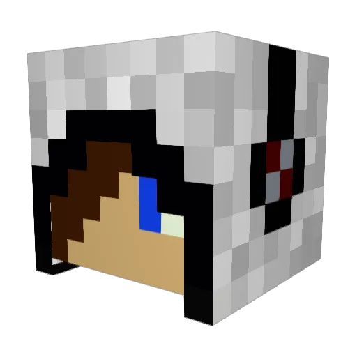 FloppyWhale Minecraft avatar head, 3D render