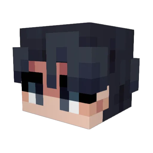 Floppycactus22 Minecraft avatar head, 3D render