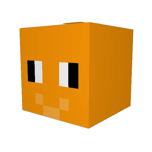 FloppyfishFTW Minecraft avatar head, 3D render