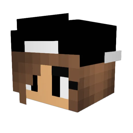 Flopsilein Minecraft avatar head, 3D render