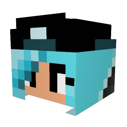 Flopsy04 Minecraft avatar head, 3D render