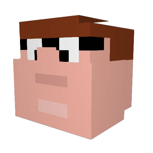 FlopyDoge Minecraft avatar head, 3D render