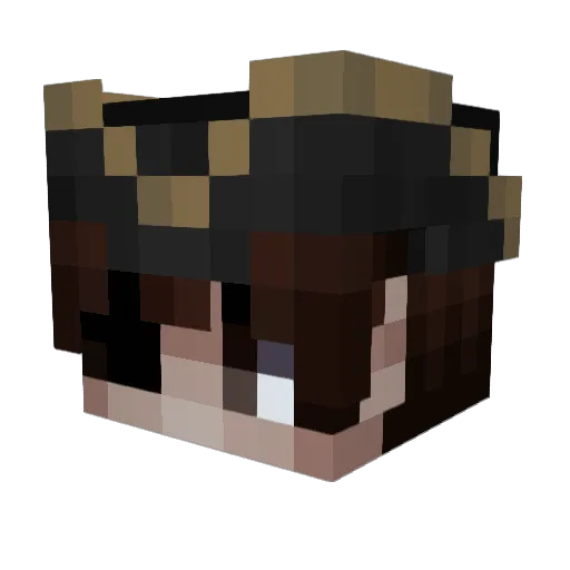 Floq33 Minecraft avatar head, 3D render