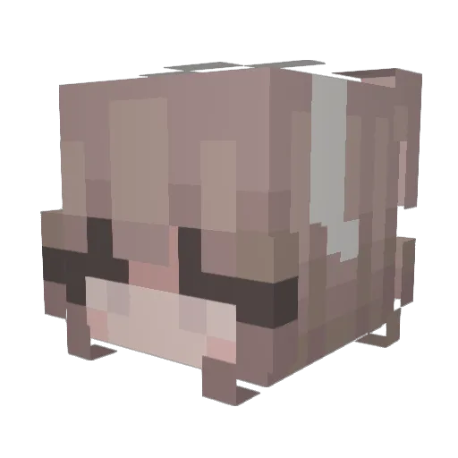 Flora1812 Minecraft avatar head, 3D render