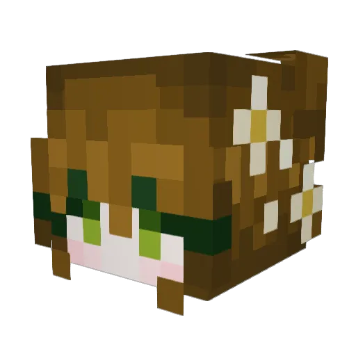 FloraMacaron Minecraft avatar head, 3D render