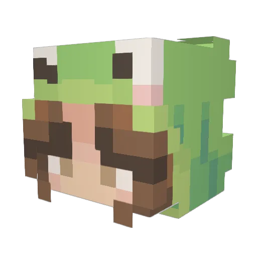 FloraR Minecraft avatar head, 3D render