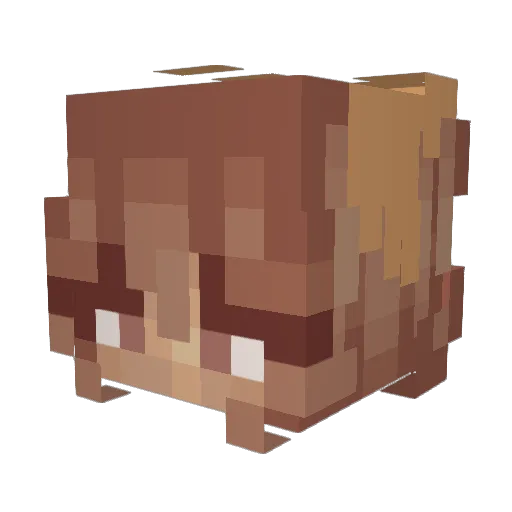 FloralHoney Minecraft avatar head, 3D render