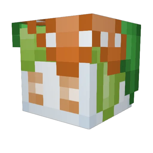 FloralianTherapy Minecraft avatar head, 3D render