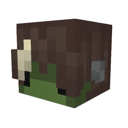 Florbsss_ Minecraft avatar head, 3D render