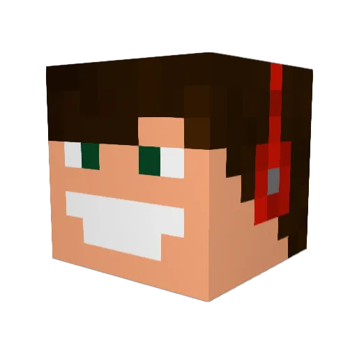 Florek2010 Minecraft avatar head, 3D render